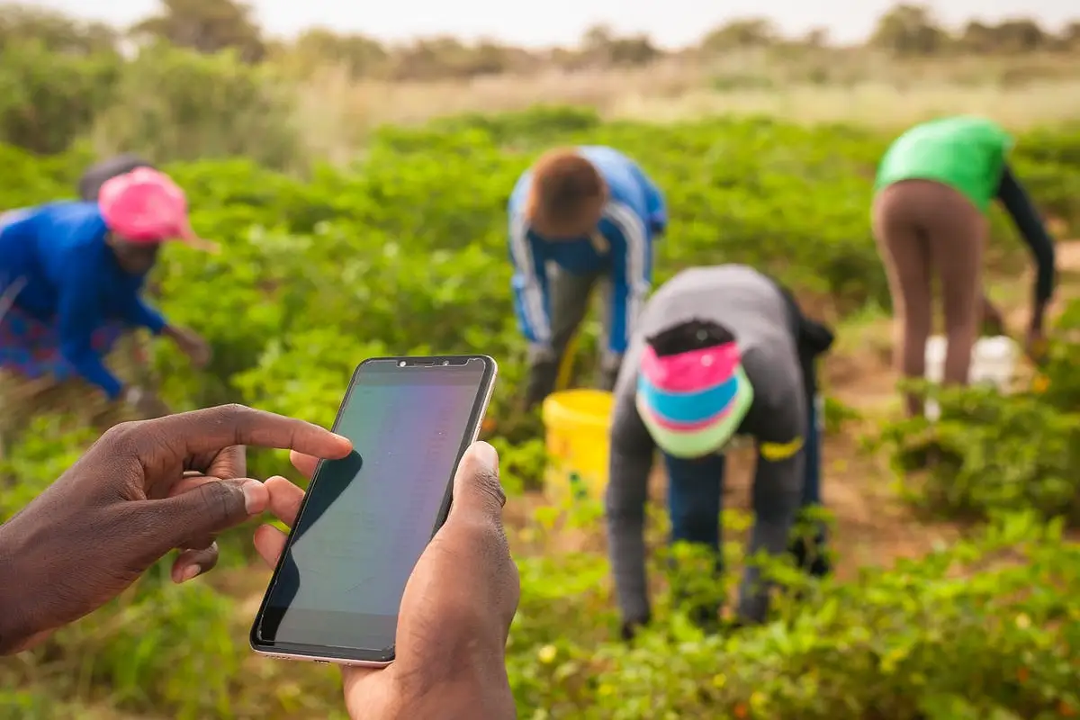 AgriSmart Zanzibar