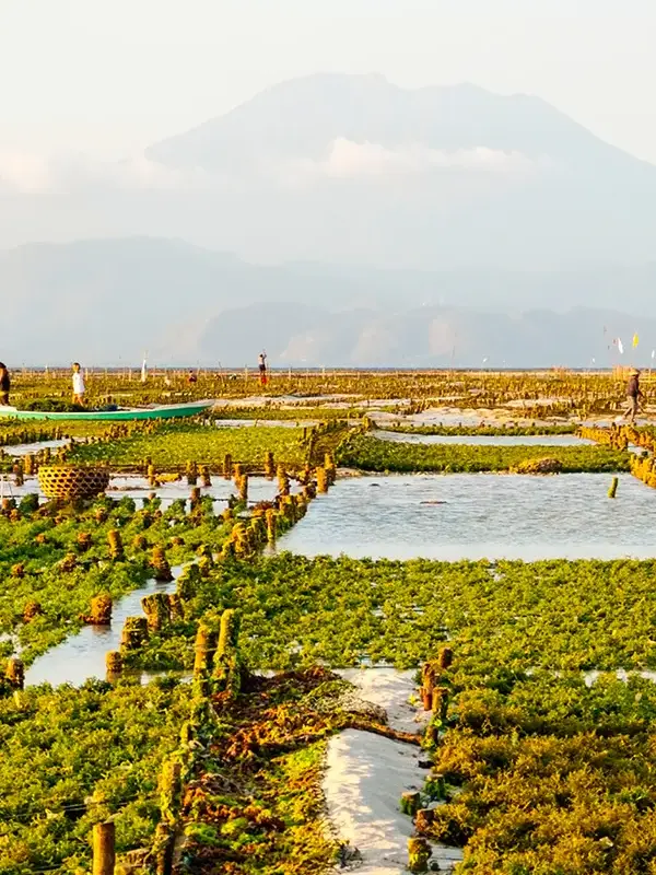 Sustainability Strategy