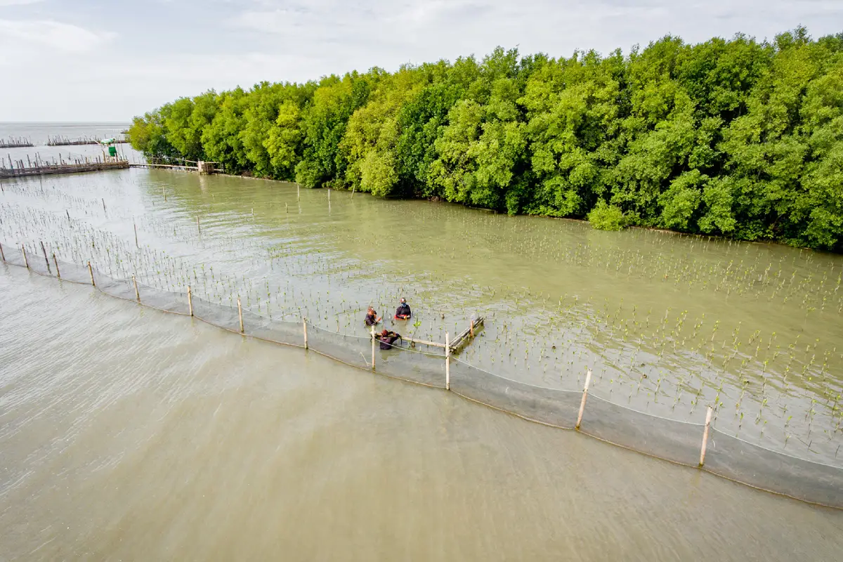 Clean Waters, Clear Futures