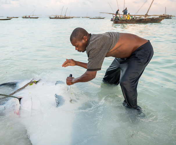 Fishermens