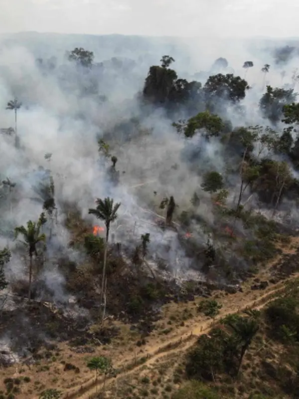 Land Degradation Issues