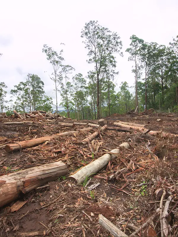 Land Degradation Issues