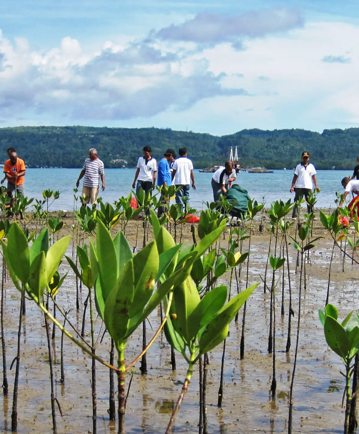 eco-warriors-of-zanzibar-youth-action-for-environmental-justice