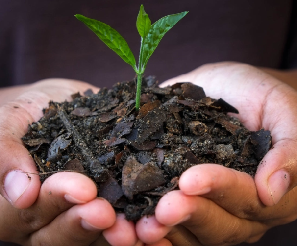 Sustainability