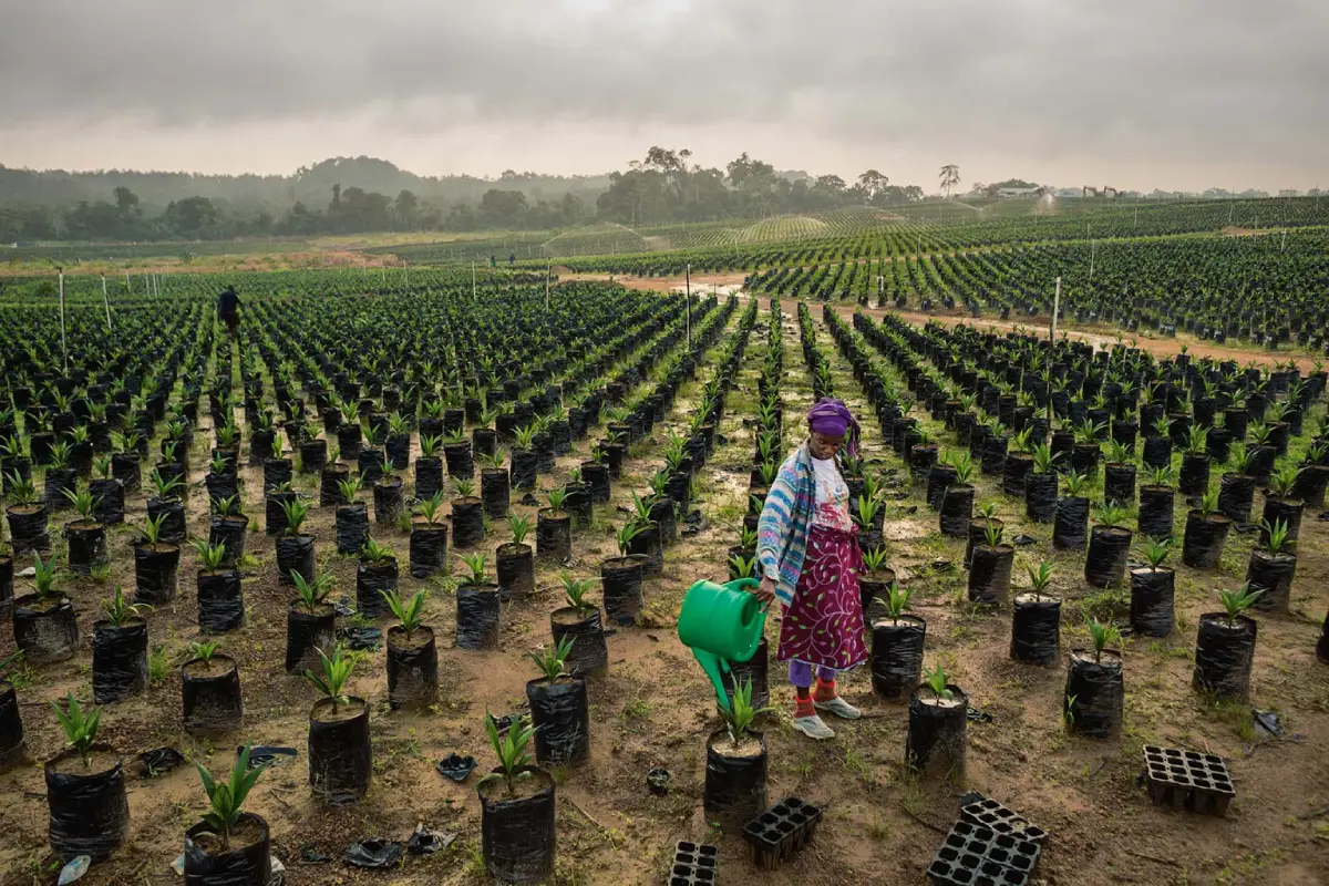 powering-paradise-sustainably-solar-microgrids-for-zanzibars-small-islands