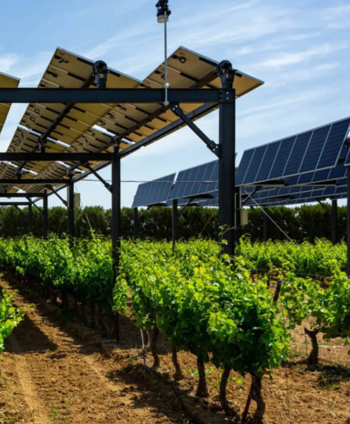 powering-paradise-sustainably-solar-microgrids-for-zanzibars-small-islands