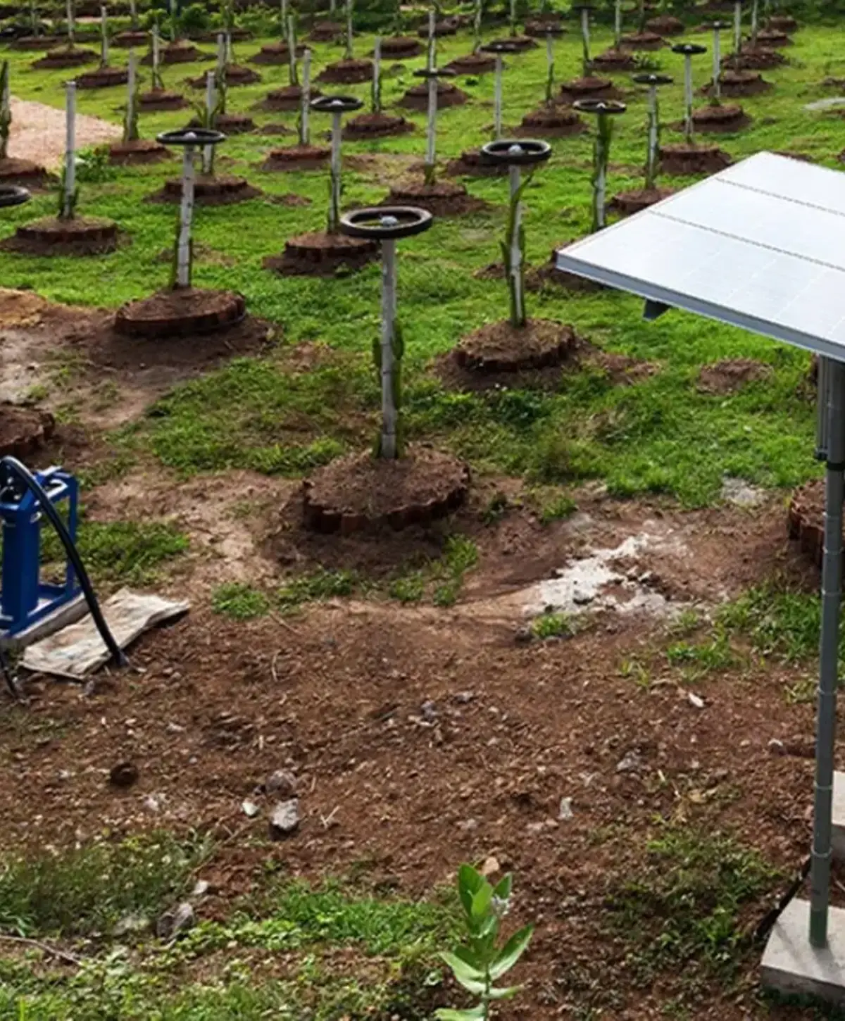 powering-paradise-sustainably-solar-microgrids-for-zanzibars-small-islands