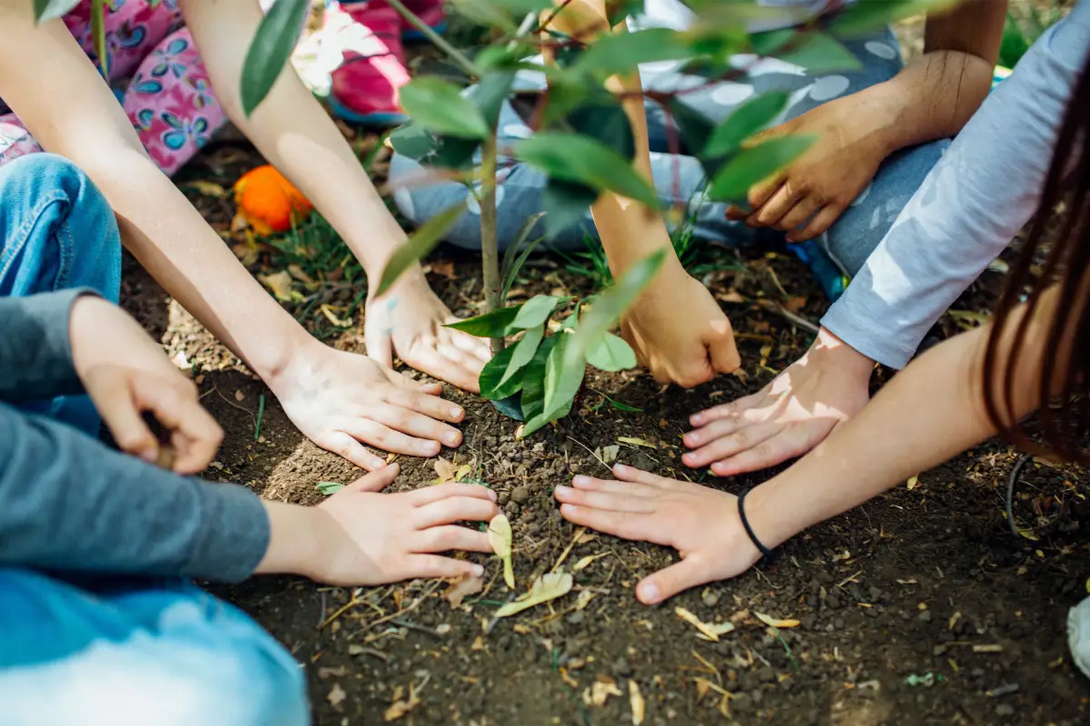 reviving-roots-restoring-futures