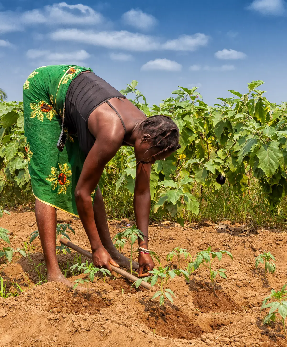 rising-above-women-and-youth-leading-climate-resilience-in-zanzibar