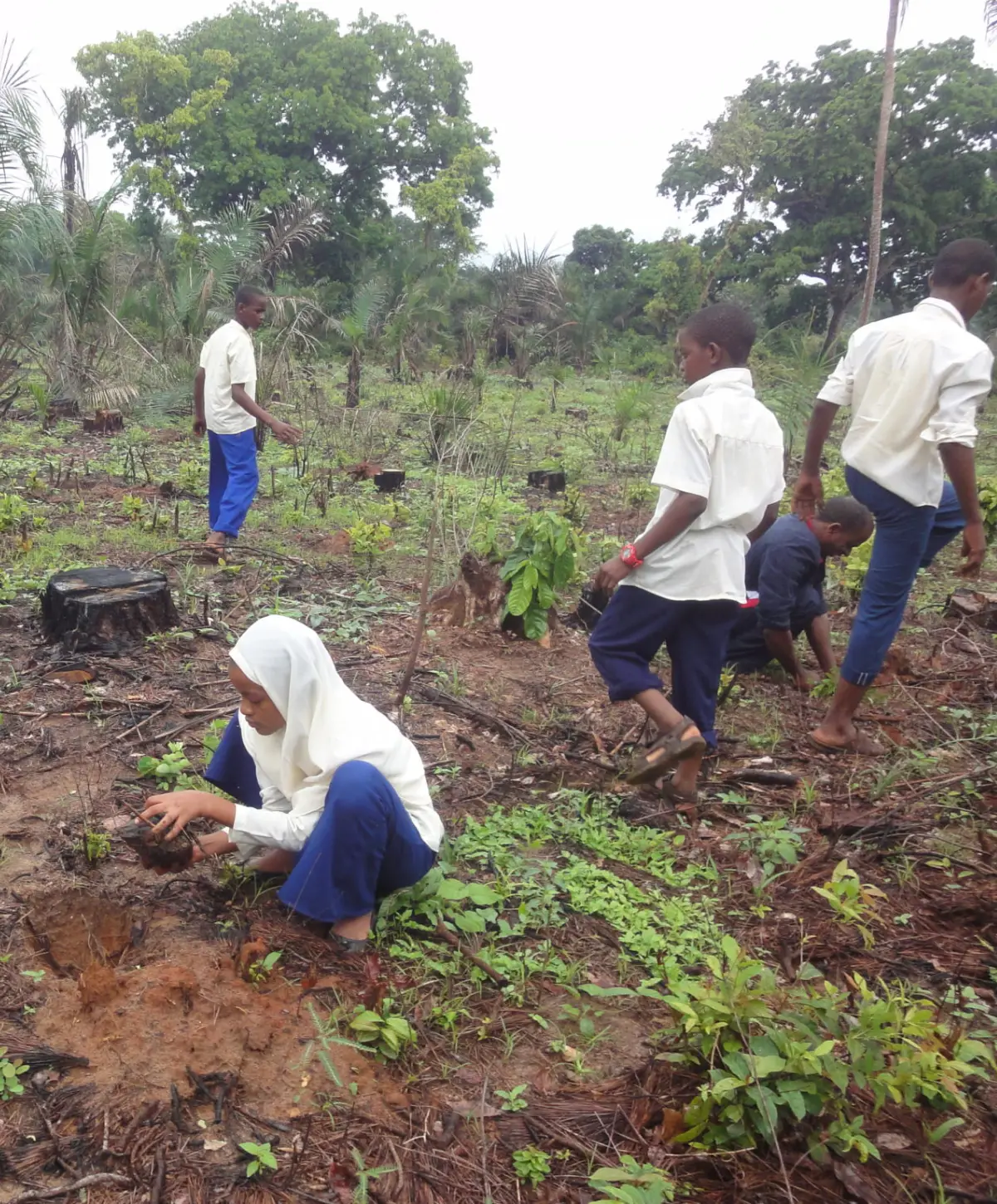rising-above-women-and-youth-leading-climate-resilience-in-zanzibar