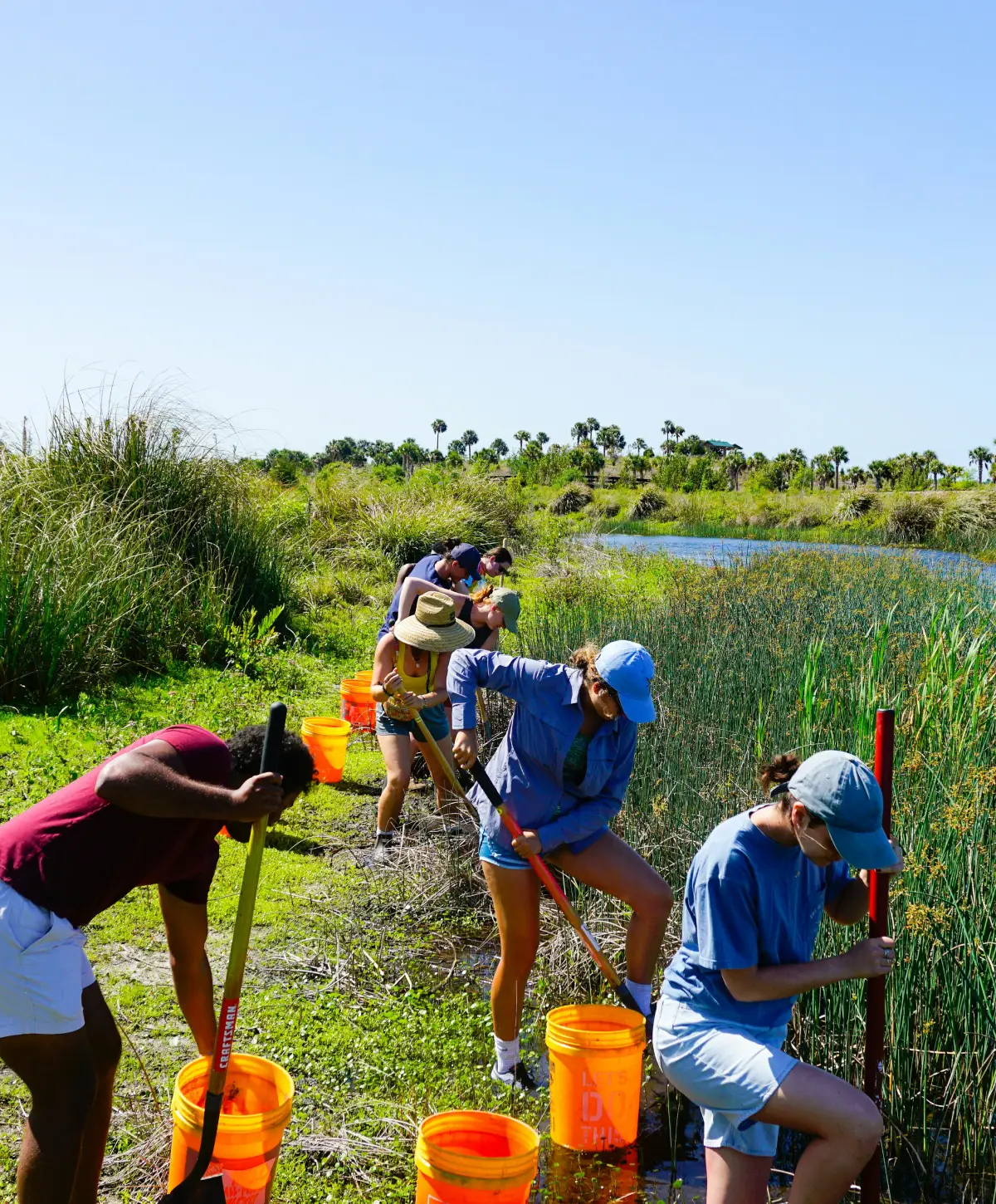 roots-of-change-reforestation-and-biodiversity-revival-in-zanzibar