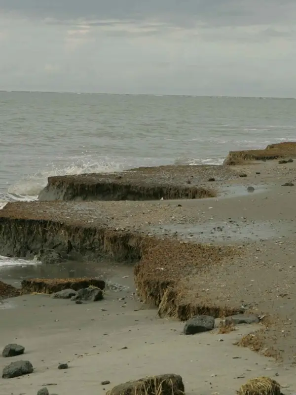  Mitigation and Adaptation Strategies