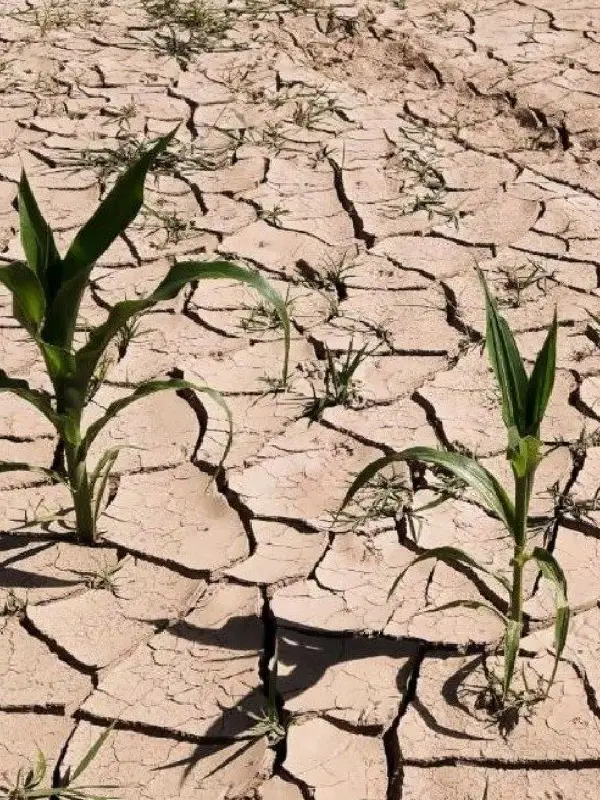 Impact by 2030