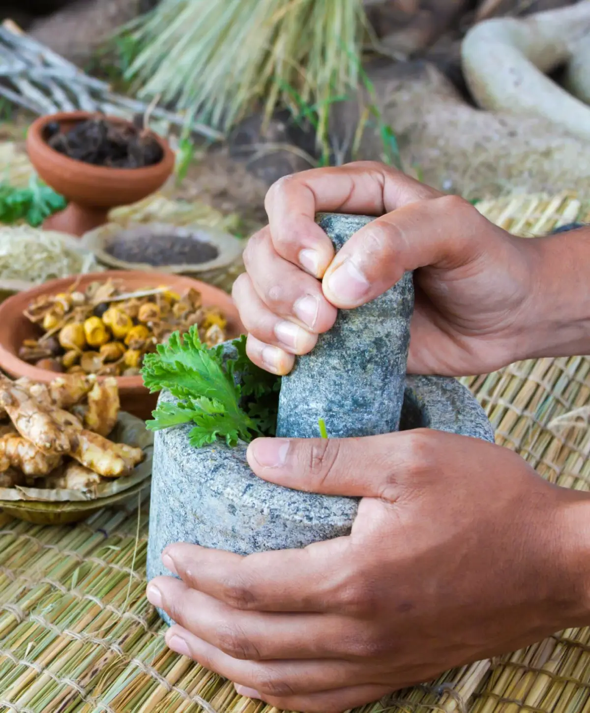 zanzibar-wellness-rising-a-community-led-health-revolution